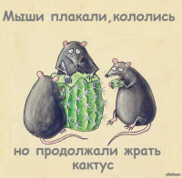 188540_800.png
